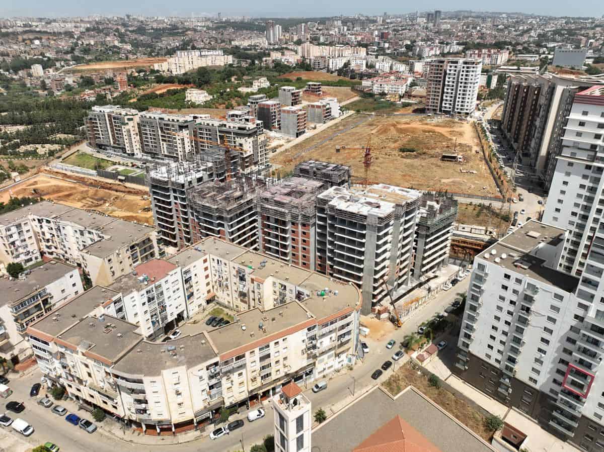 تقدم مشروع Cirta تقدم مشروع Cirta
