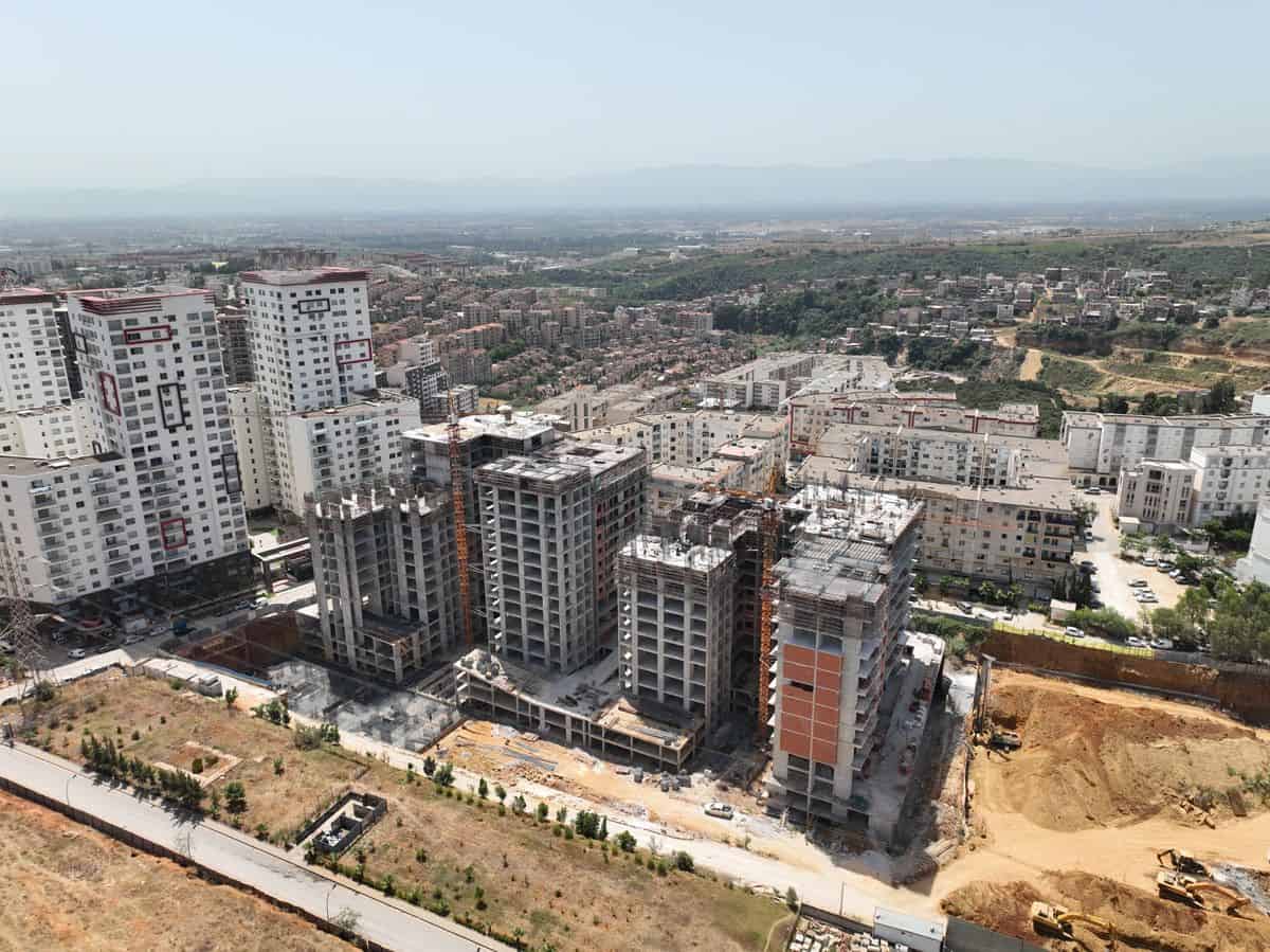 تقدم مشروع Cirta تقدم مشروع Cirta