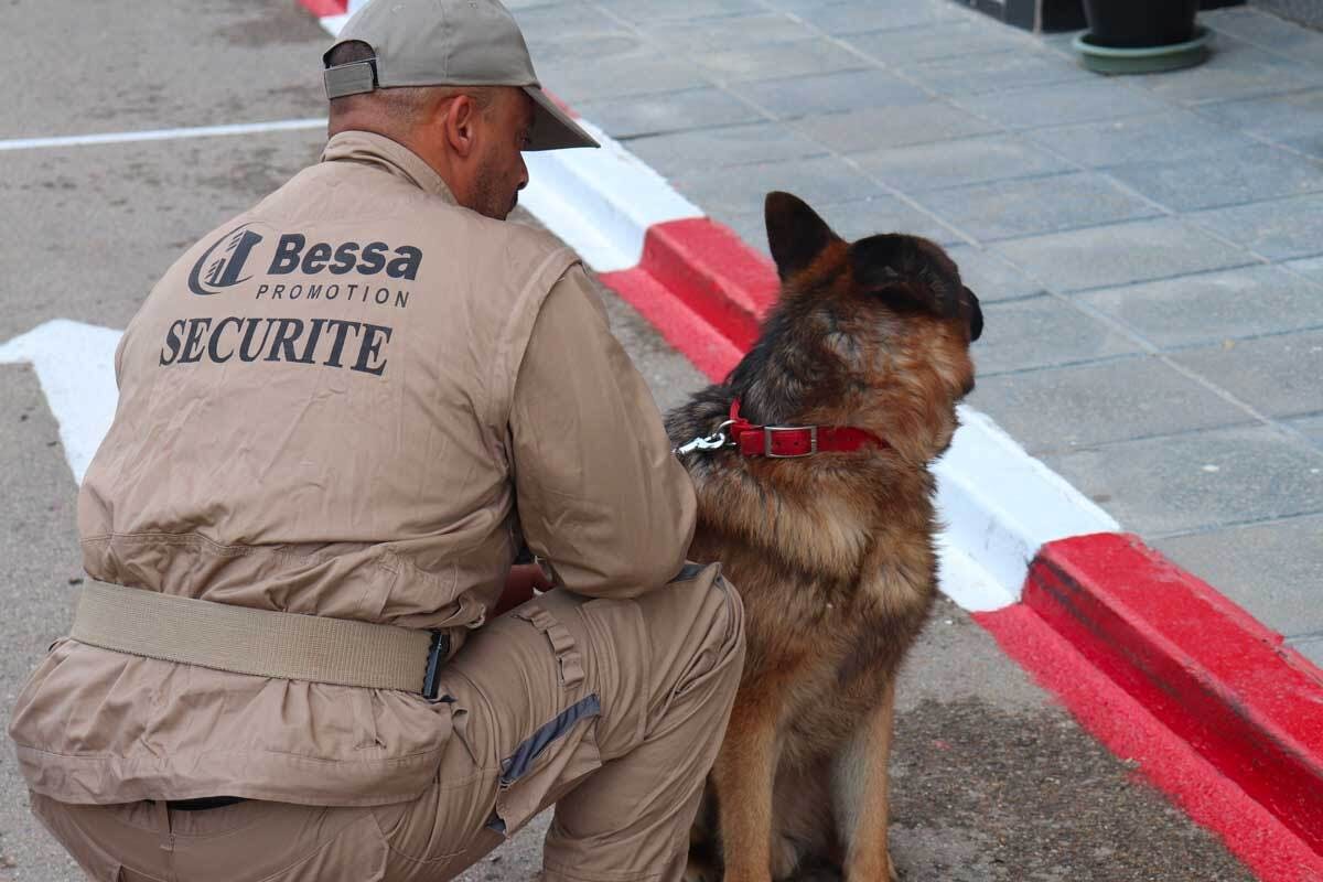 Brigade canine pour assurer la securite au niveau des residences bessa promotion immobiliere en algerie